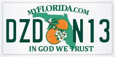 FL license plate DZDN13