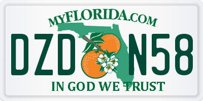 FL license plate DZDN58