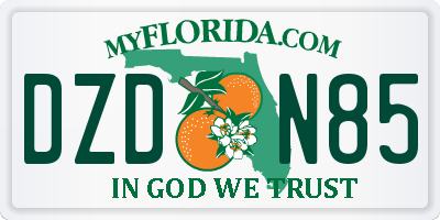 FL license plate DZDN85