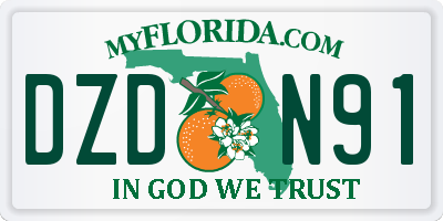 FL license plate DZDN91