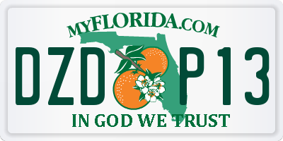 FL license plate DZDP13