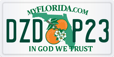FL license plate DZDP23
