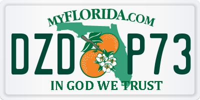 FL license plate DZDP73