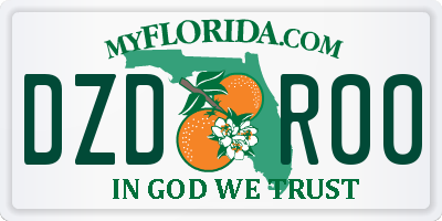 FL license plate DZDR00