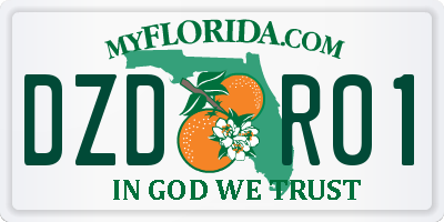 FL license plate DZDR01