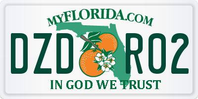 FL license plate DZDR02