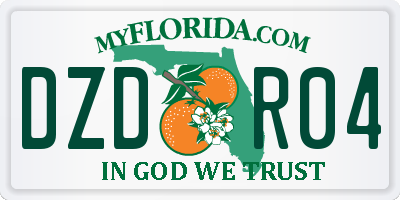 FL license plate DZDR04