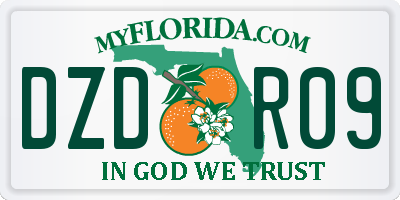 FL license plate DZDR09