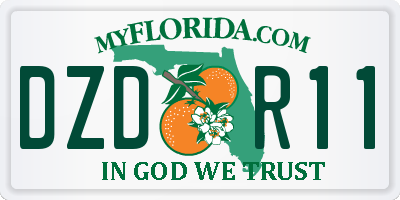 FL license plate DZDR11