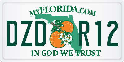 FL license plate DZDR12