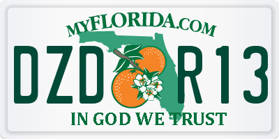FL license plate DZDR13