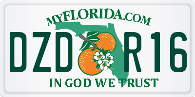 FL license plate DZDR16