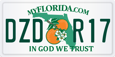 FL license plate DZDR17