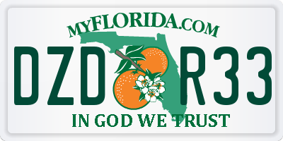FL license plate DZDR33