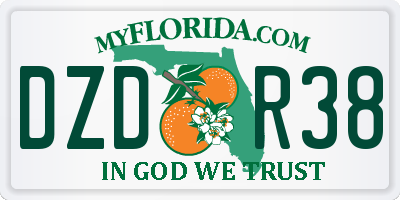 FL license plate DZDR38