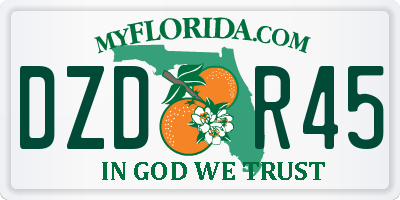 FL license plate DZDR45