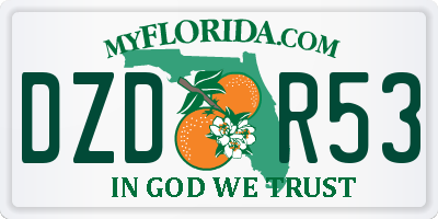 FL license plate DZDR53