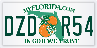 FL license plate DZDR54