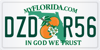 FL license plate DZDR56