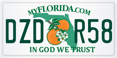 FL license plate DZDR58