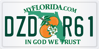 FL license plate DZDR61
