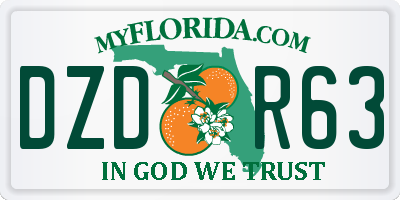 FL license plate DZDR63