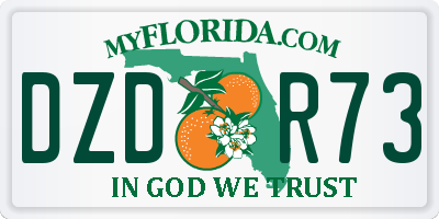 FL license plate DZDR73