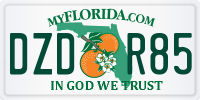 FL license plate DZDR85