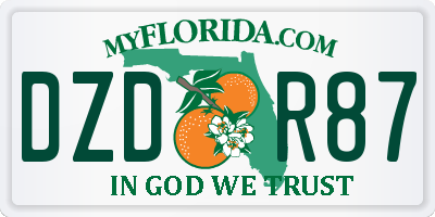 FL license plate DZDR87