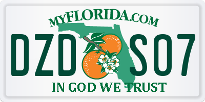 FL license plate DZDS07
