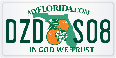 FL license plate DZDS08
