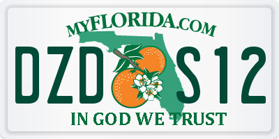 FL license plate DZDS12