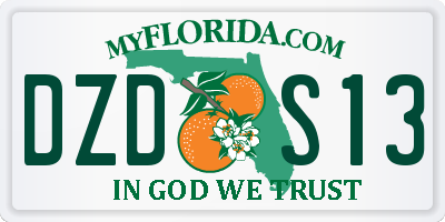 FL license plate DZDS13