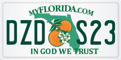 FL license plate DZDS23