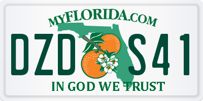FL license plate DZDS41