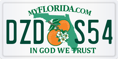 FL license plate DZDS54