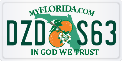 FL license plate DZDS63