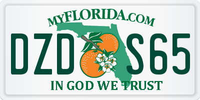 FL license plate DZDS65