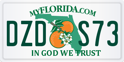 FL license plate DZDS73