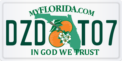 FL license plate DZDT07