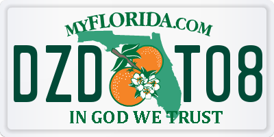 FL license plate DZDT08