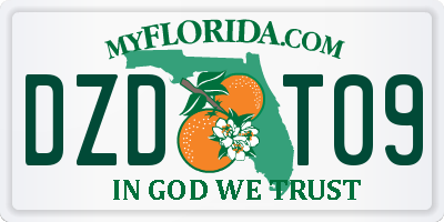 FL license plate DZDT09
