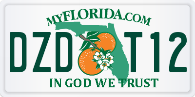 FL license plate DZDT12
