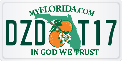 FL license plate DZDT17