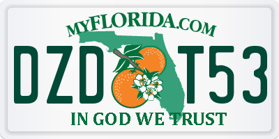 FL license plate DZDT53