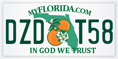 FL license plate DZDT58