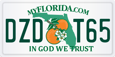 FL license plate DZDT65
