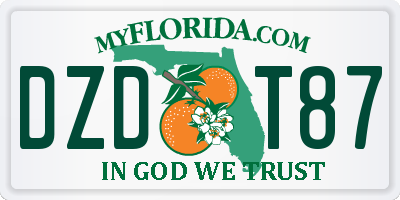 FL license plate DZDT87
