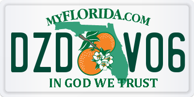 FL license plate DZDV06