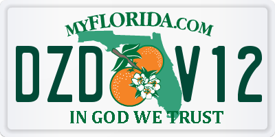 FL license plate DZDV12